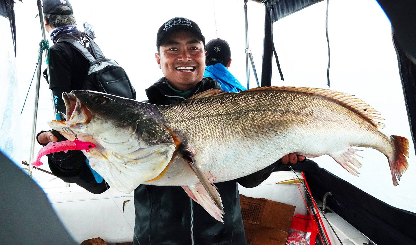 蓝旗鱼怪物路亚,实战派蓝旗鱼路亚