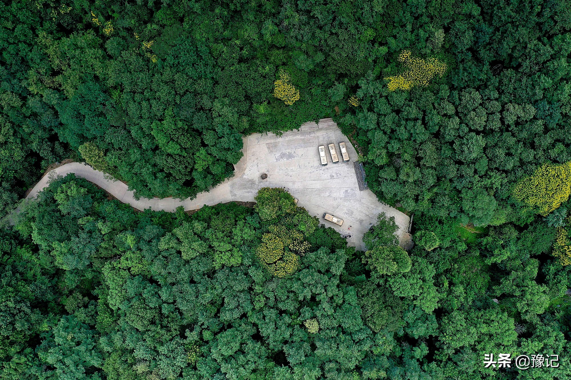 河南灵宝现在有什么水果,河南都有哪些水果