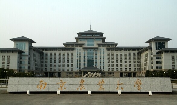 被低估的六所大学,被低估的6个重点大学