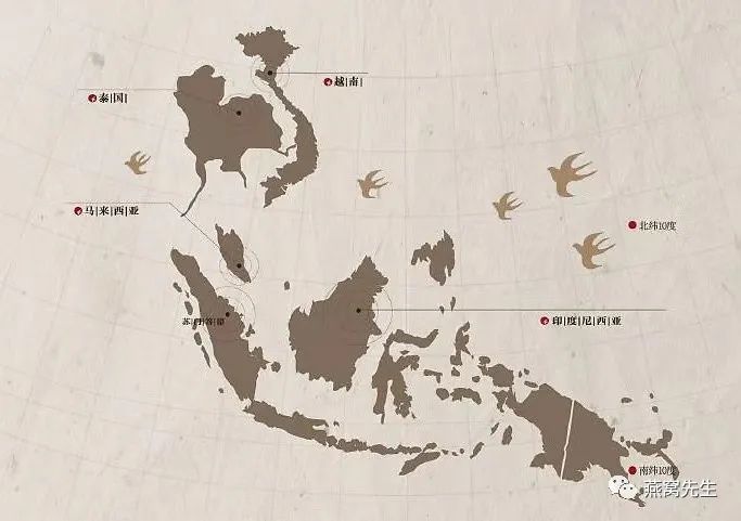 正宗的燕窝到底多少钱一斤,燕窝价格正宗燕窝多少钱一克