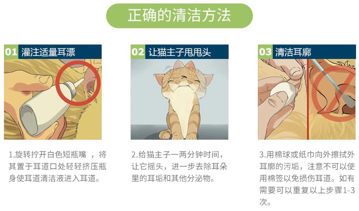 养猫必看的医学知识书,100个科学养猫秘籍