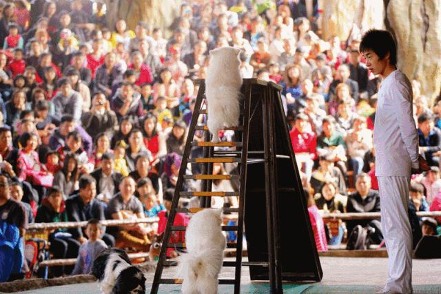 「国庆欢乐提前购」早买优惠！佛山5A长鹿休博园双人套票158元起