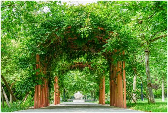 中国石油大学华东缺点,中国石油大学华东为什么考数二