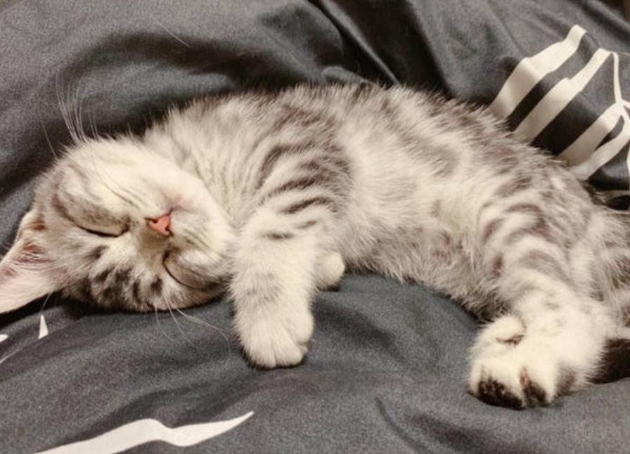 青春期身体长高办法有哪些,哪些青春期特征意味着停止长高