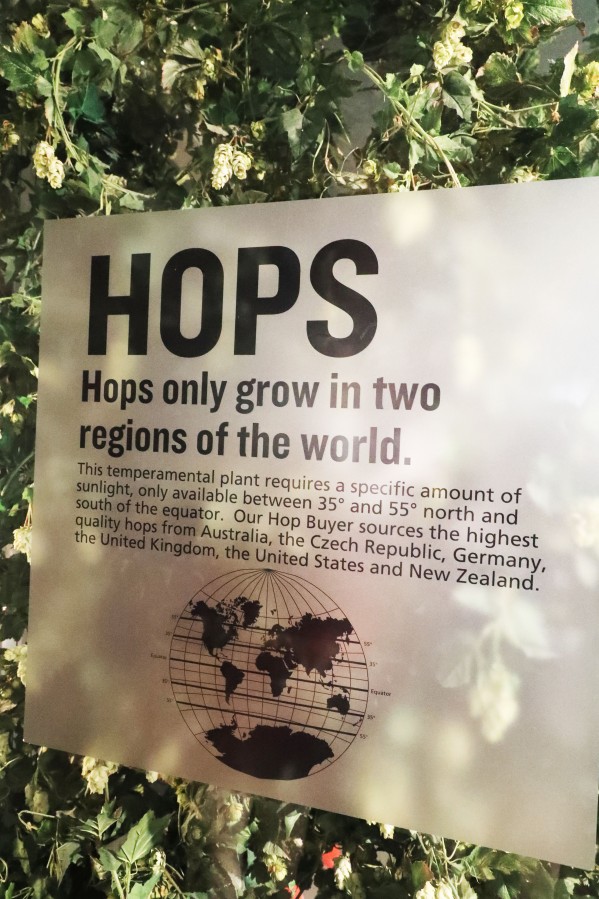 爱尔兰健力士黑啤展览馆,英伦三岛完整版