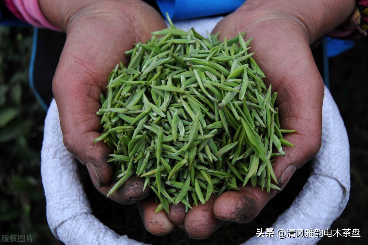 中国十大名茶排行榜前十名,中国十大名茶最新排名及价格