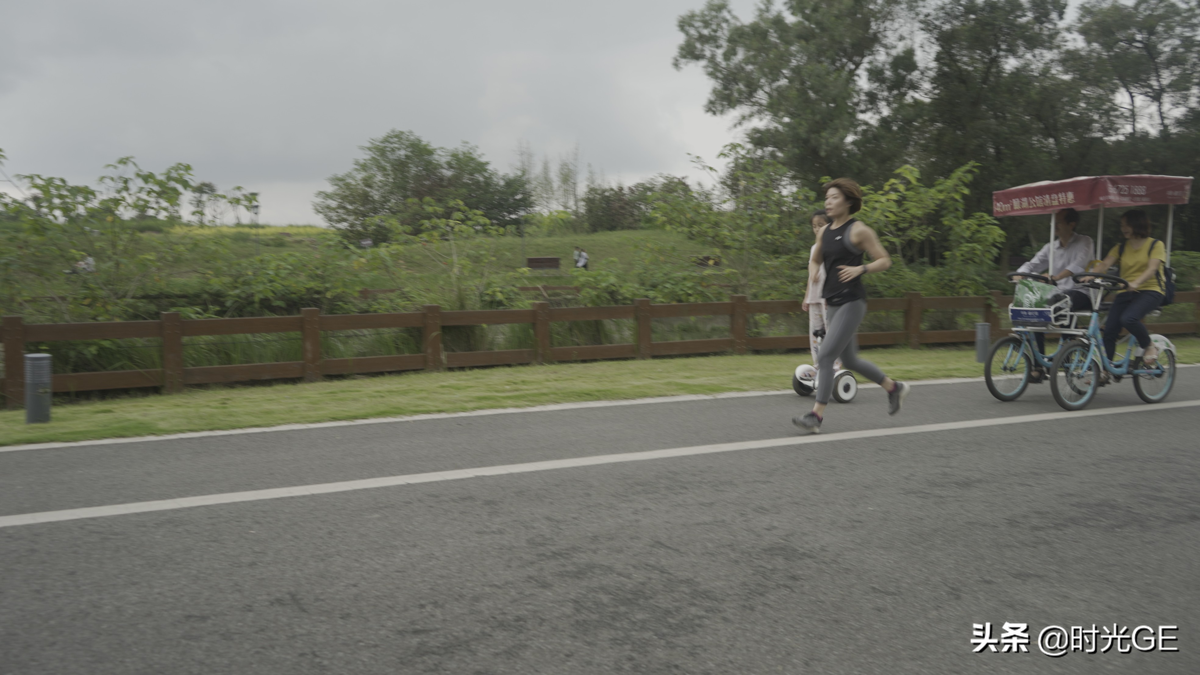 成都青龙湖湿地公园攻略,成都青龙湖湿地公园地图