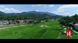 精彩绝伦！今天小悟乡的这场活动温暖又火爆！赶紧来点赞！