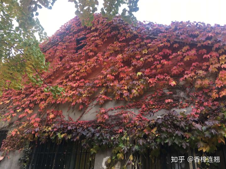 在大连生活怎么样,在大连生活十年是什么体验