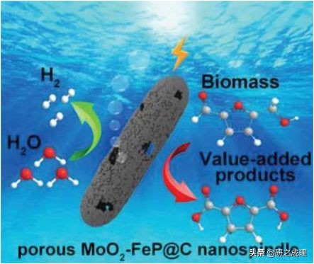 催化周报:10篇子刊,14篇Angew,你想要的前沿都在这里