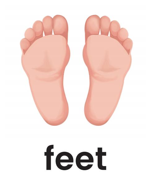 单词记忆小卡片怎么记单词,单词记忆法电子单词卡