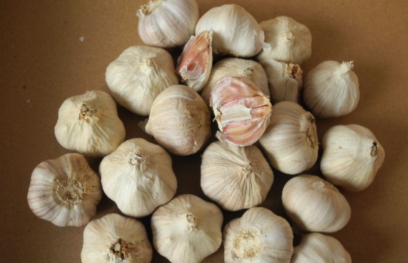 辽宁葫芦岛特产有哪些,辽宁特产有哪些值得带去的