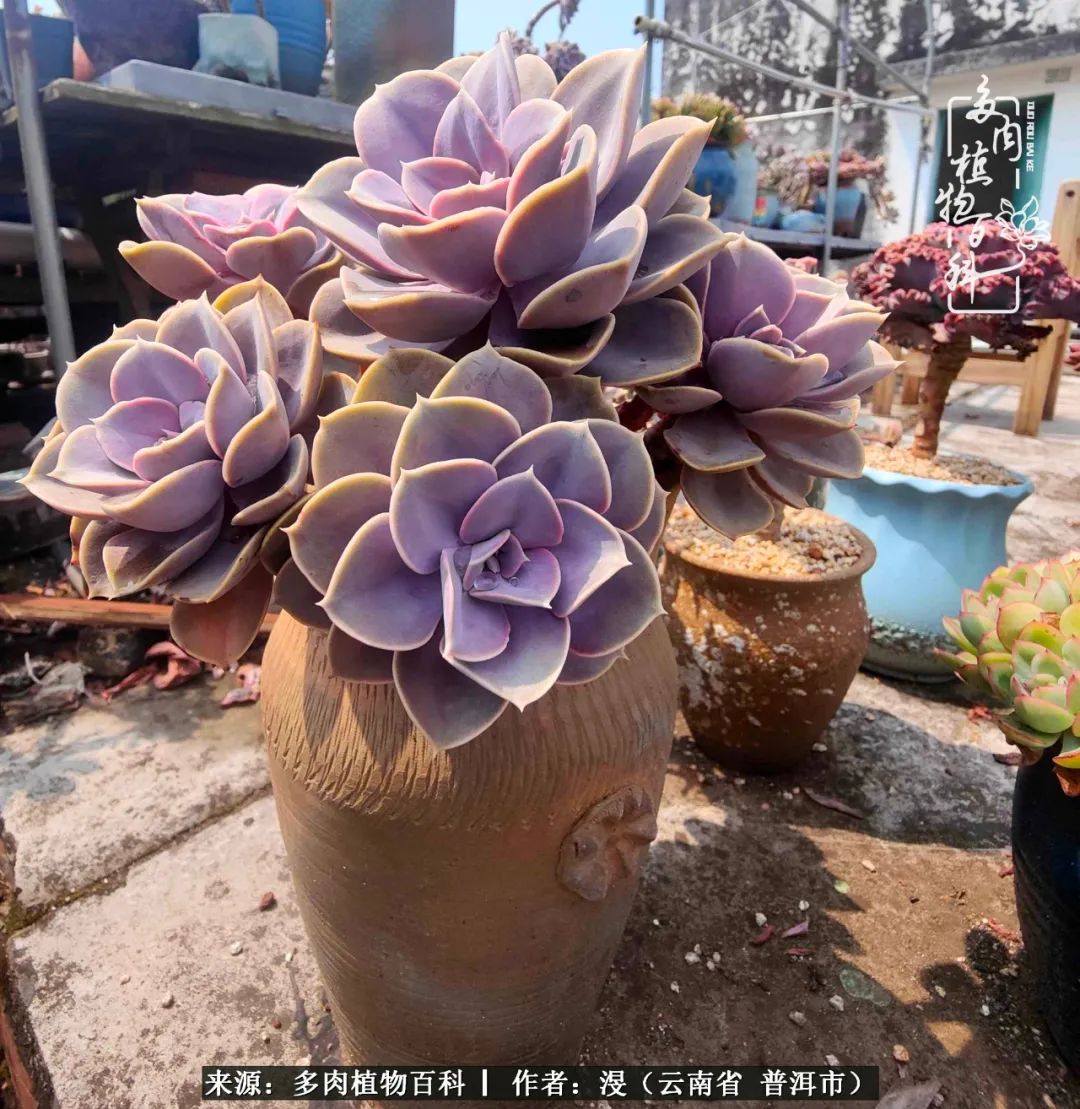 风过留痕讲的啥,风过留痕朗诵