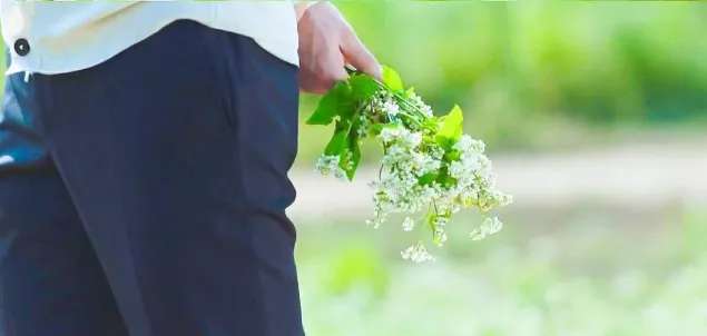 怎么鉴别双性恋和直男,双性恋到底偏向哪个性别