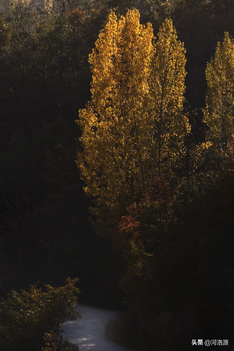 巩义最美乡村,巩义最美乡村游玩好去处