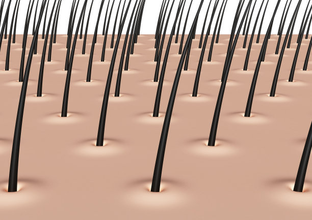 头发毛躁很油适合什么发型,头发控油最简单的方法