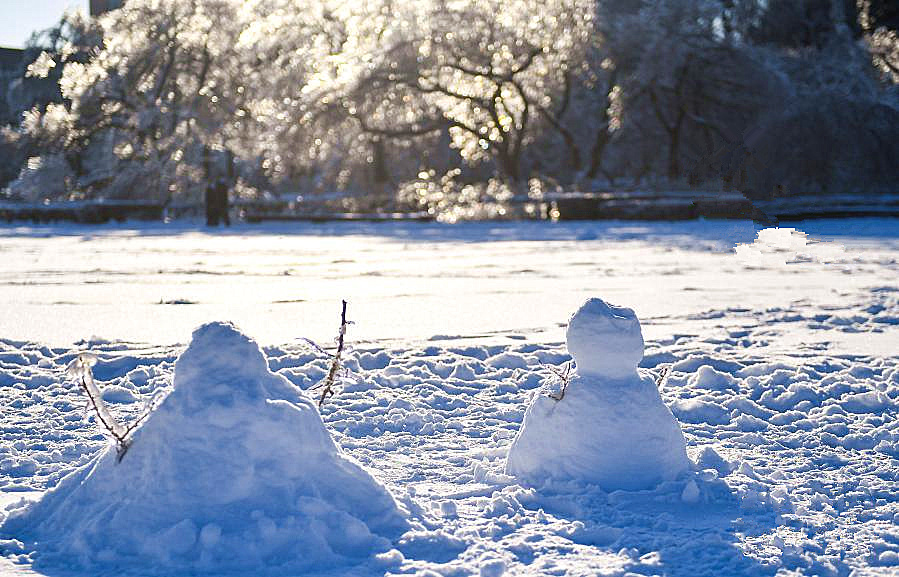写雪的唯美诗句10句小雪,描写冬天的小雪的诗句