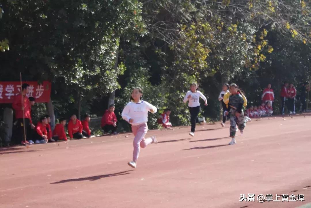 蓝天中学余干县运动会记录,余干一中学校运动会第七届