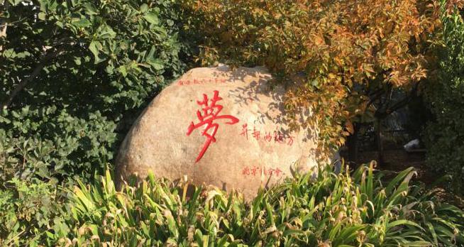 2020全景看高中丨逆势上升，大美辽附