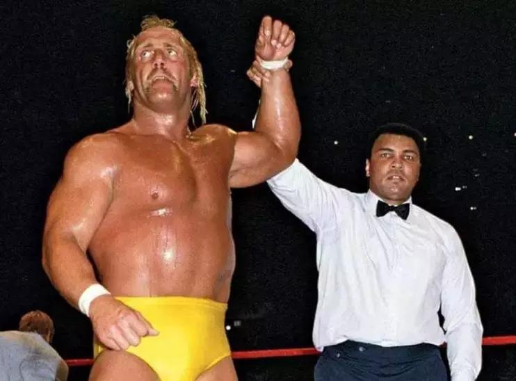 wwe打斯瓦辛格,施瓦辛格客串wwe摔角狂热完整版