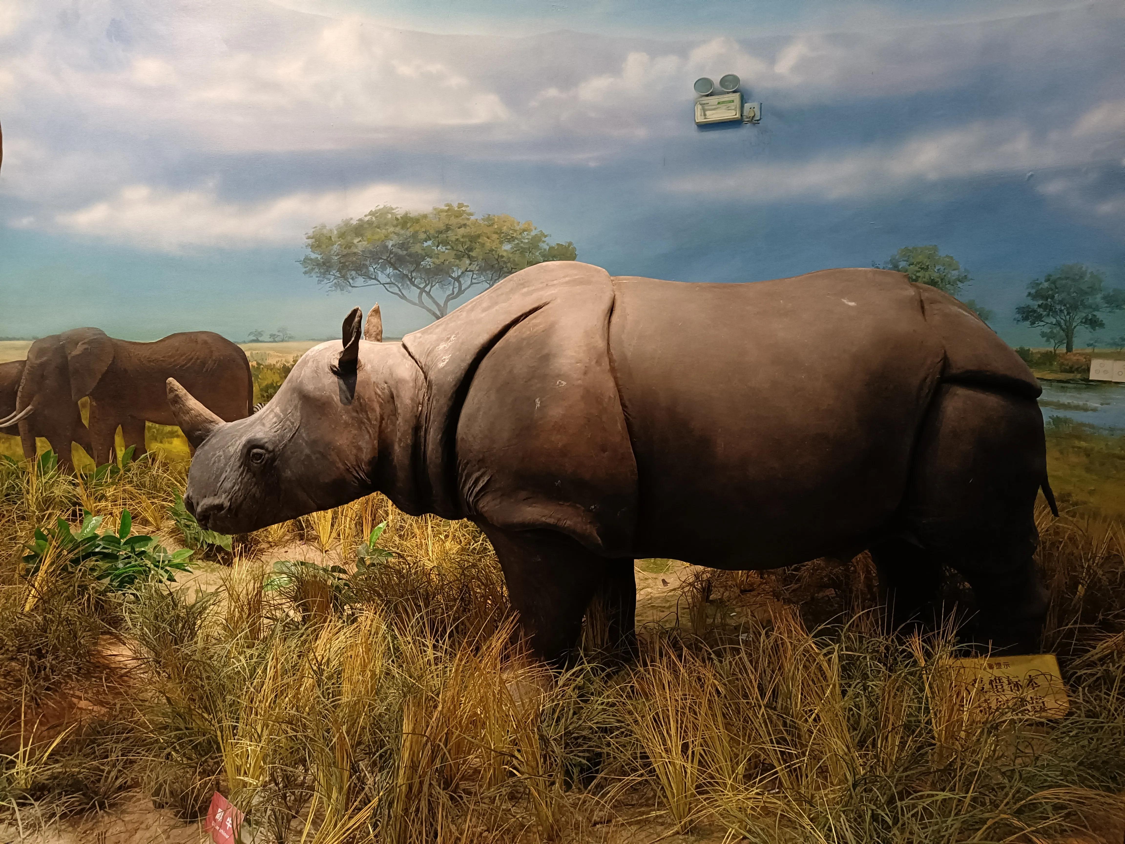 上方山森林公园作文,上方山森林公园动物世界