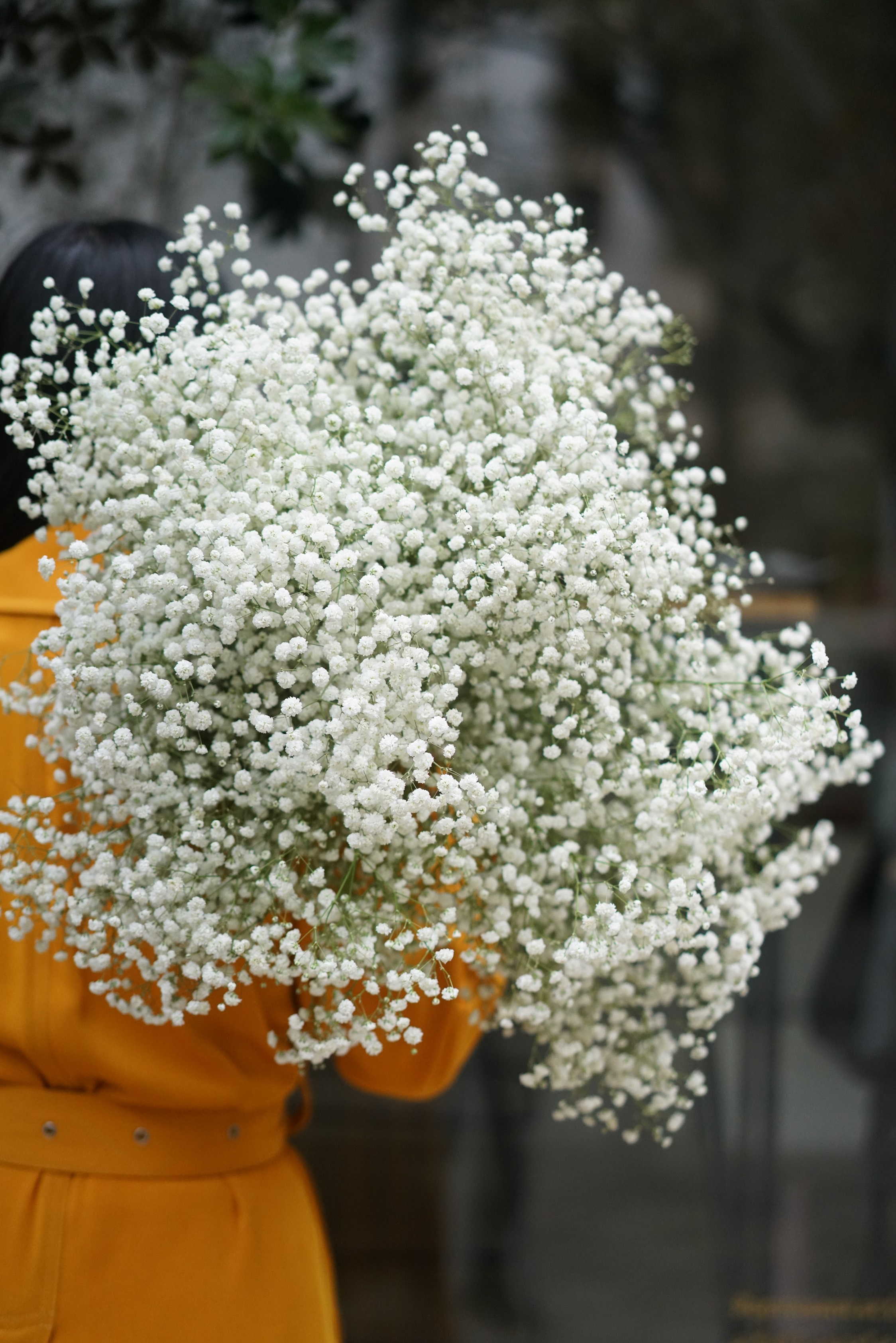 在这个520表白的日子,520我来替你表白