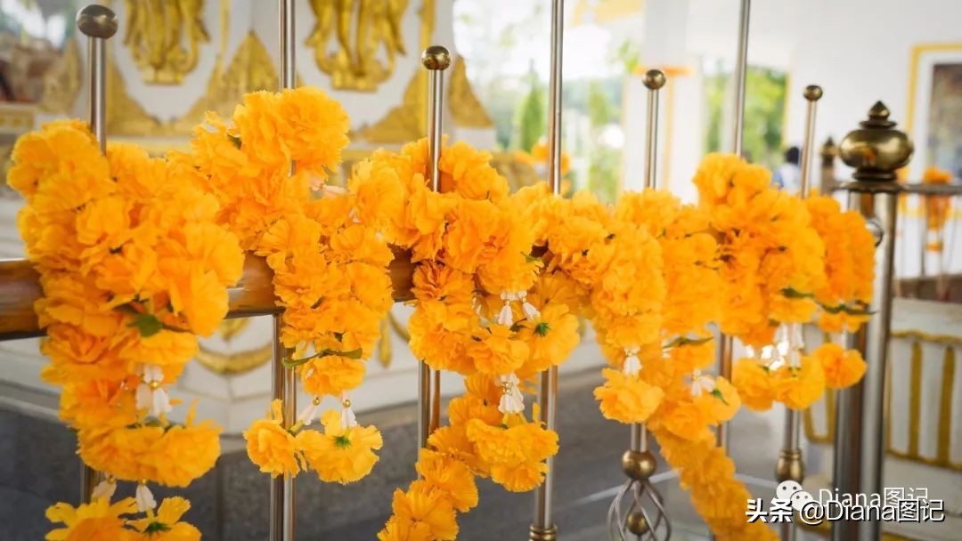 泰好时光Day5I神殿寺祈福安康富贵屋金碧辉煌