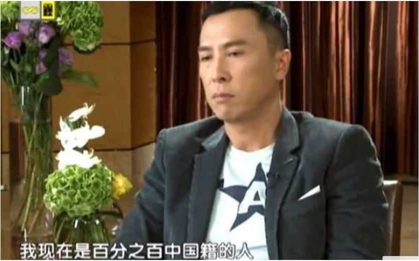 甄子丹：摸爬滚打37年，终凭《叶问》成为巨星，始终怀揣中国心