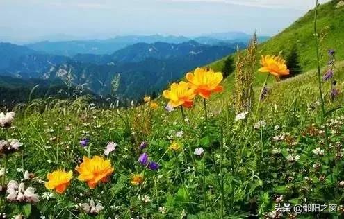 河北有了这些均温不足20℃的空调山，再热情的“烤验”也挡得住