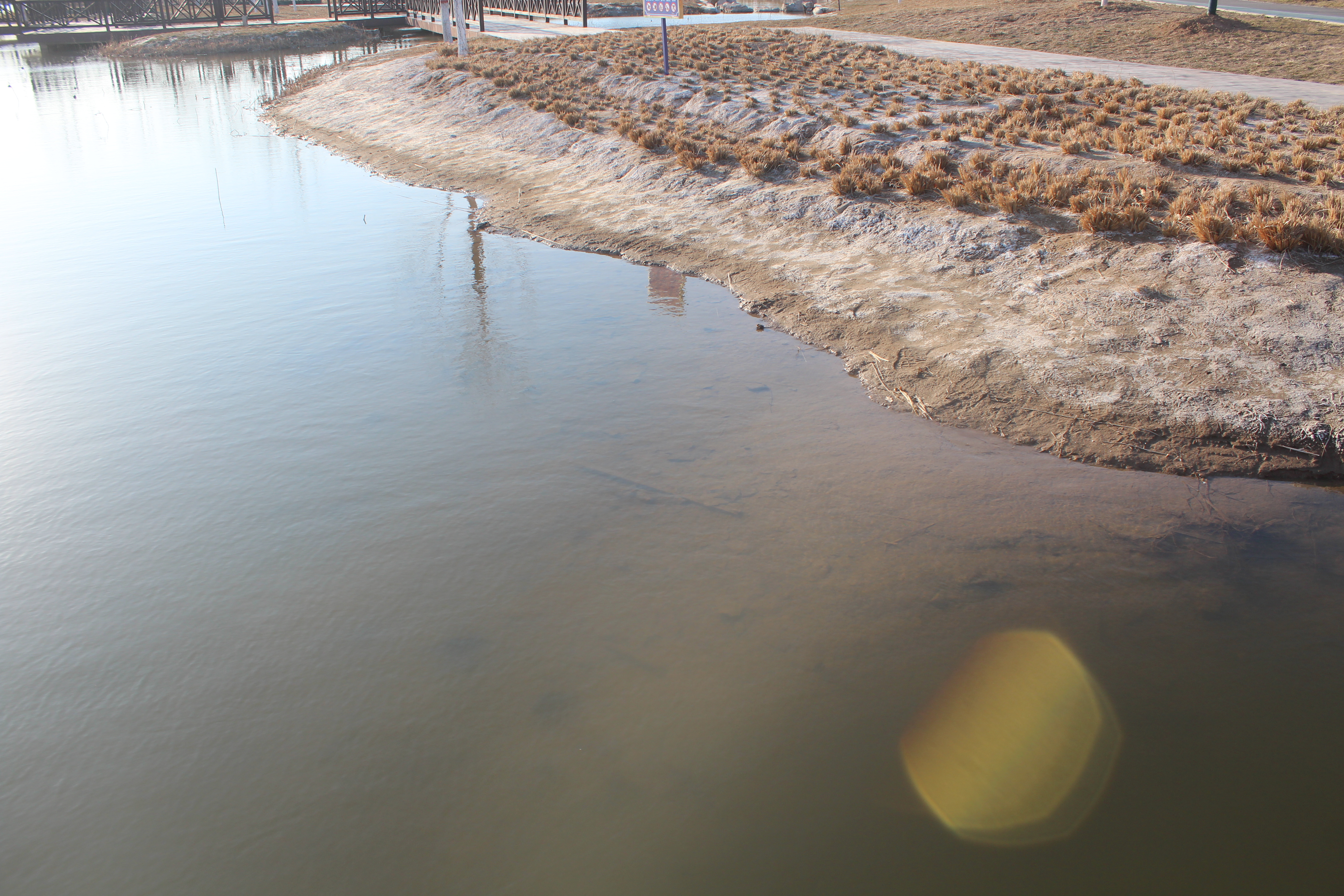 河里野钓长竿短竿哪个更好,水库野钓钓竿怎么选好用