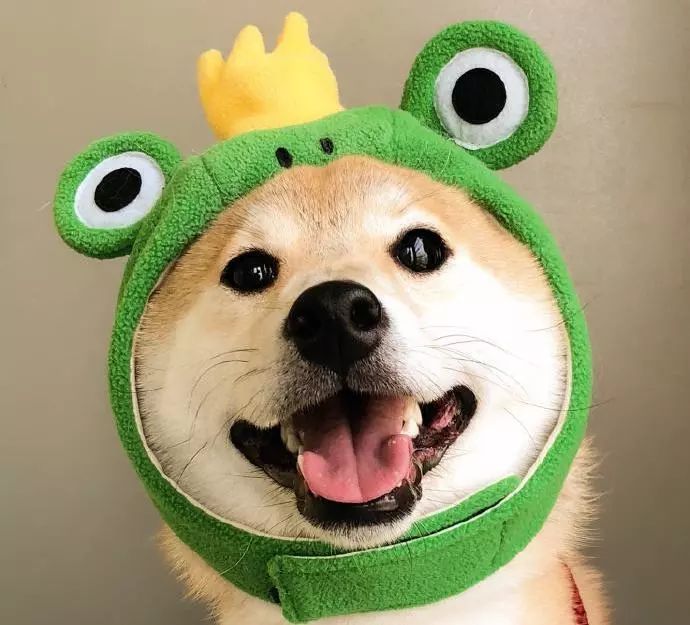 干货生日会,生日会搞活气氛的点子