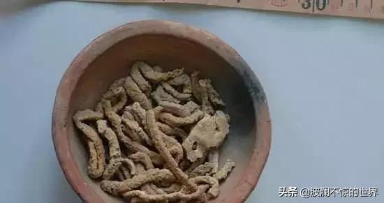 考古挖到恐龙骨头,考古挖到古代的墓