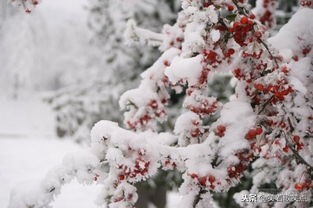 2019年，继续走着，笑着歌笑点！