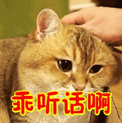 a股这两天为什么跌,a股这两天怎么跌了