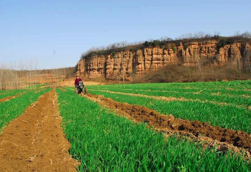 鼠年立春有哪些说法,鼠年和猪年有什么说法