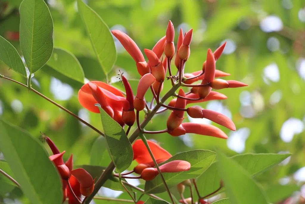 泉州，你可真是太拼了