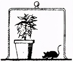 人教版七年级生物植物的呼吸作用,生物光合作用与呼吸作用的综合题