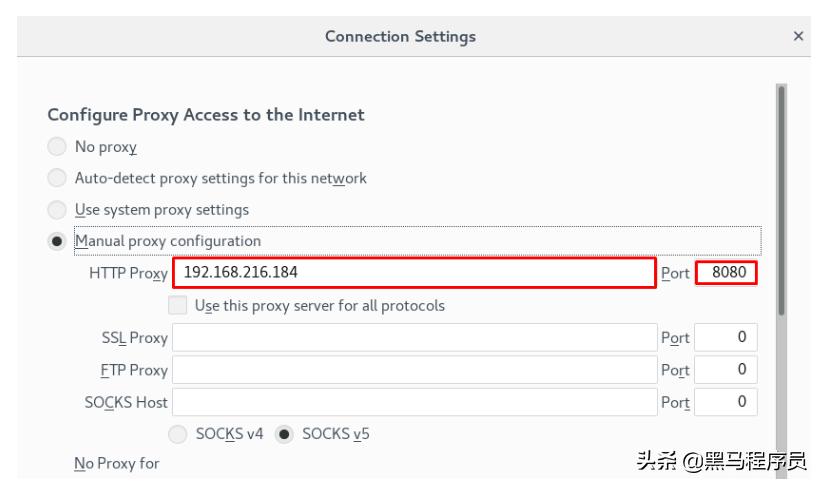 windowsnginx正向代理,nginx正向代理和反向代理讲解