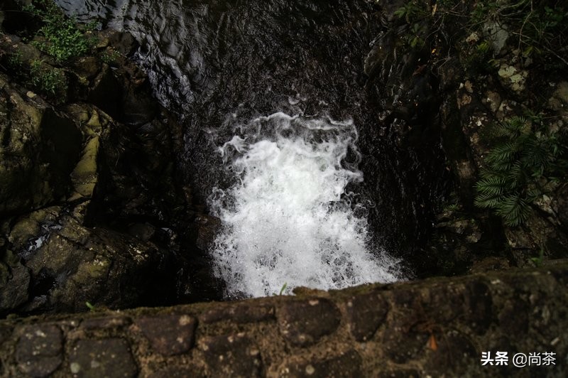 都说它是红茶中的黑马?