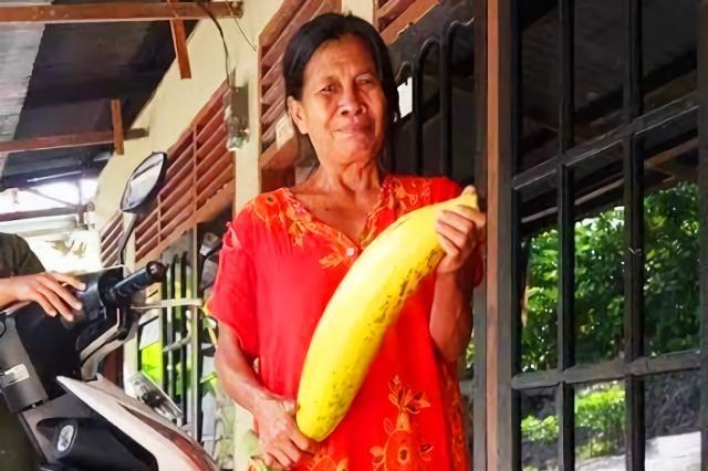 世界上最大芭蕉树多少公分,最大芭蕉树