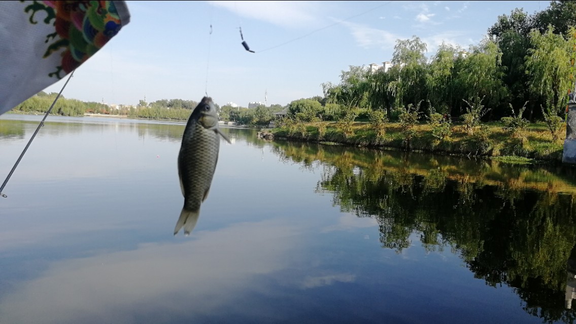 小线组和大线组的区别,小线组好上鱼