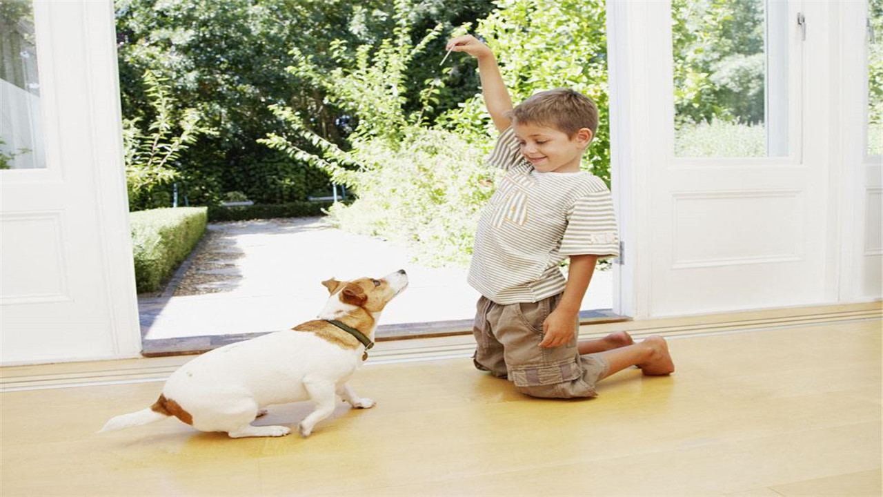 儿子性格是娘娘腔怎么办,怎么纠正娘娘腔男孩的行为
