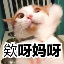 智齿拔下牙不拔上牙有什么影响吗,智齿拔了不拔有什么影响