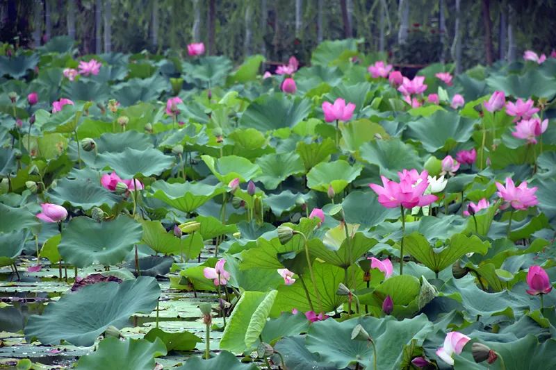 快！信都区准备好了，来嗨~