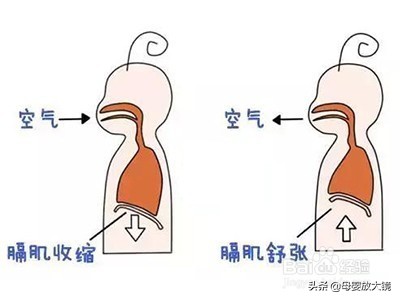 如何预防宝宝进幼儿园传染生病,新生儿宝宝如何护理常识