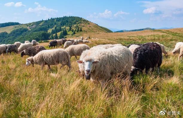 哲夫说的是谁,哲夫日语如何读