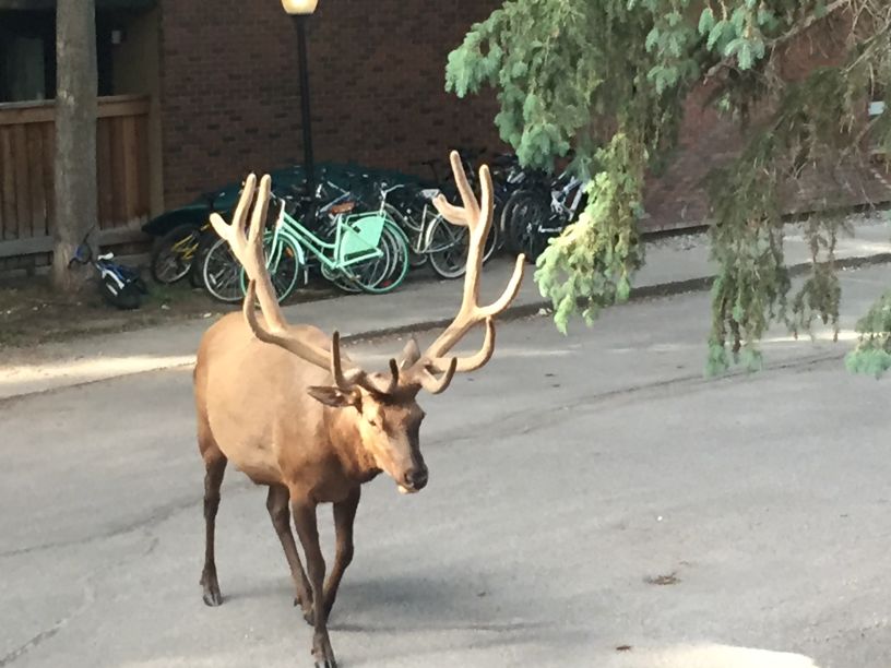 我的旅行故事精彩片段,我的旅行故事全集