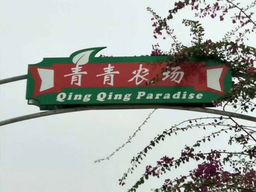 野松〉〉浅谈田园诗人施维的诗