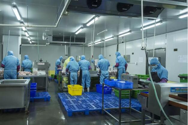 推动食品产业发展,平湖佳源央厨