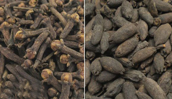 丁香制作钓鱼小药的方法,钓鱼丁香小药使用方法